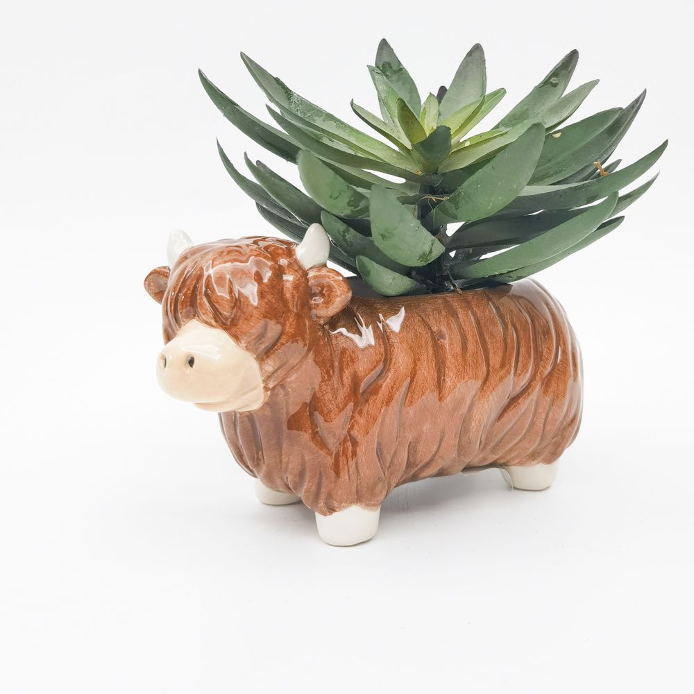 Urban Products 17cm Highland Planter. Ceramic cow planter with a succulent on a white background
