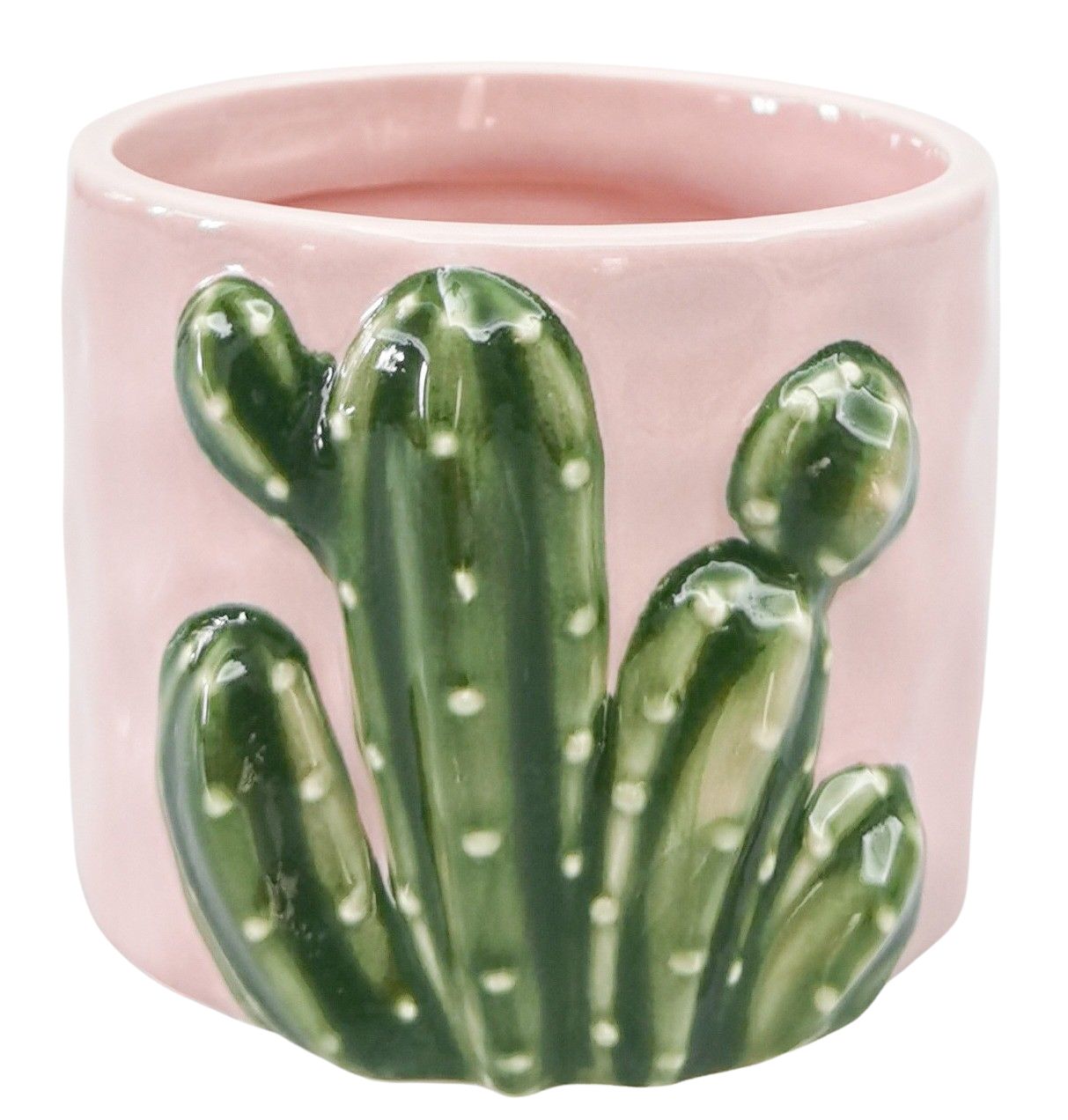 Urban Products 9cm Cactus Planter. Pink ceramic pot with green cactus design on a white background