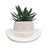 Urban Products 20cm Cowboy Hat Planter . Pink ceramic cowboy hat-shaped planter with embossed design on a white background