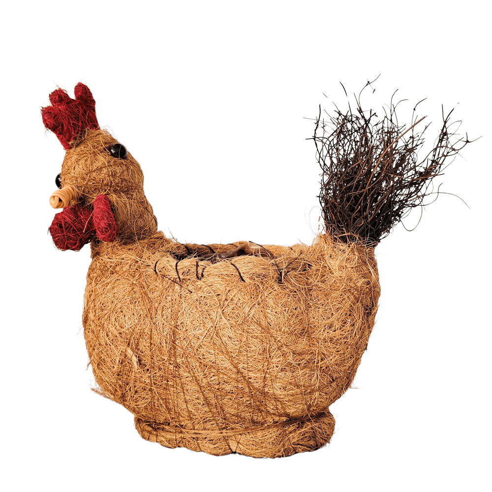 Urban Products 26cm Husk Rooster Planter Urban Products