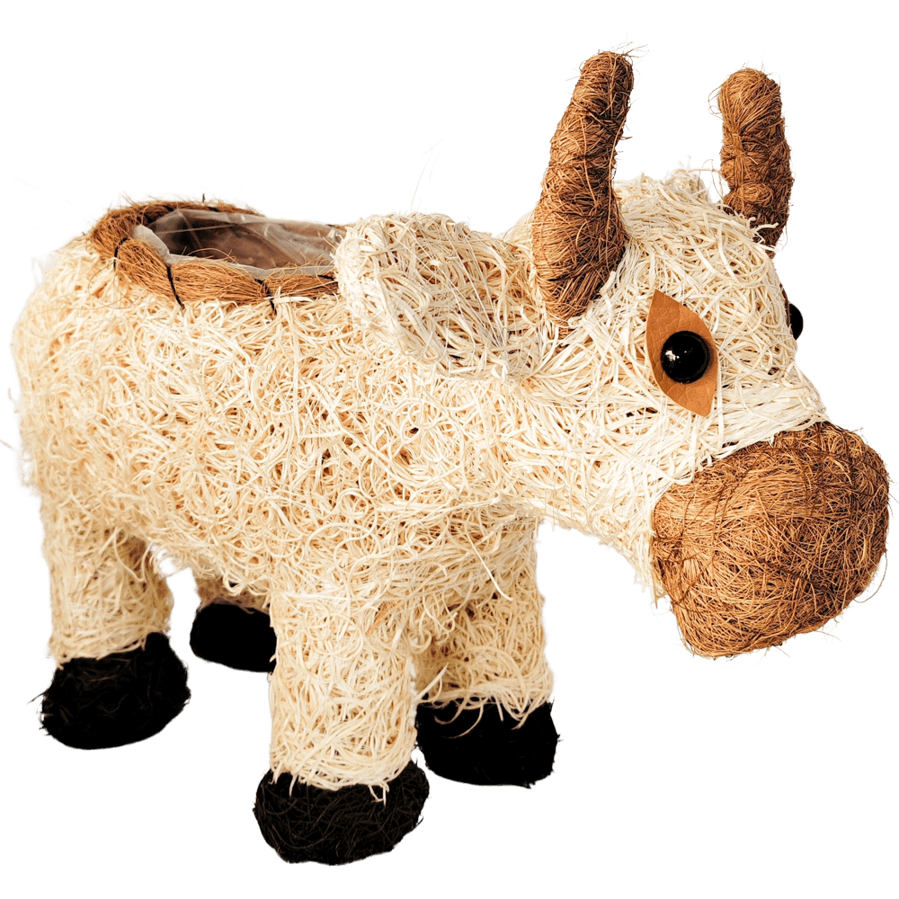 Urban Products 36cm Husk Cow Planter Urban Products