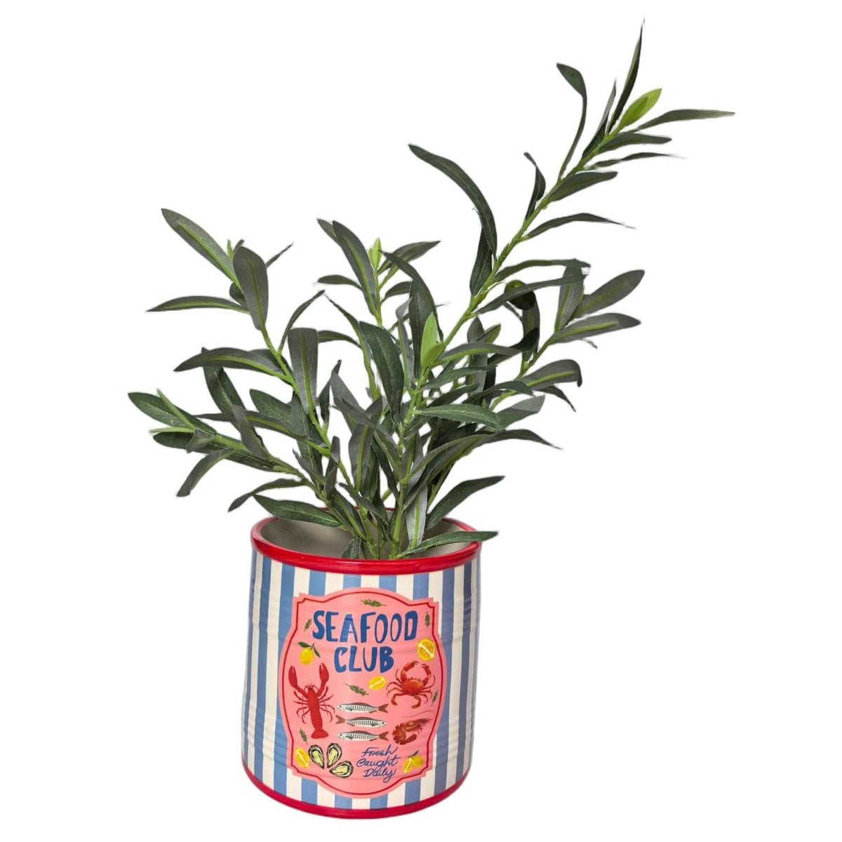 Urban Products Sea Vita Planter- Blue & Red Urban Products