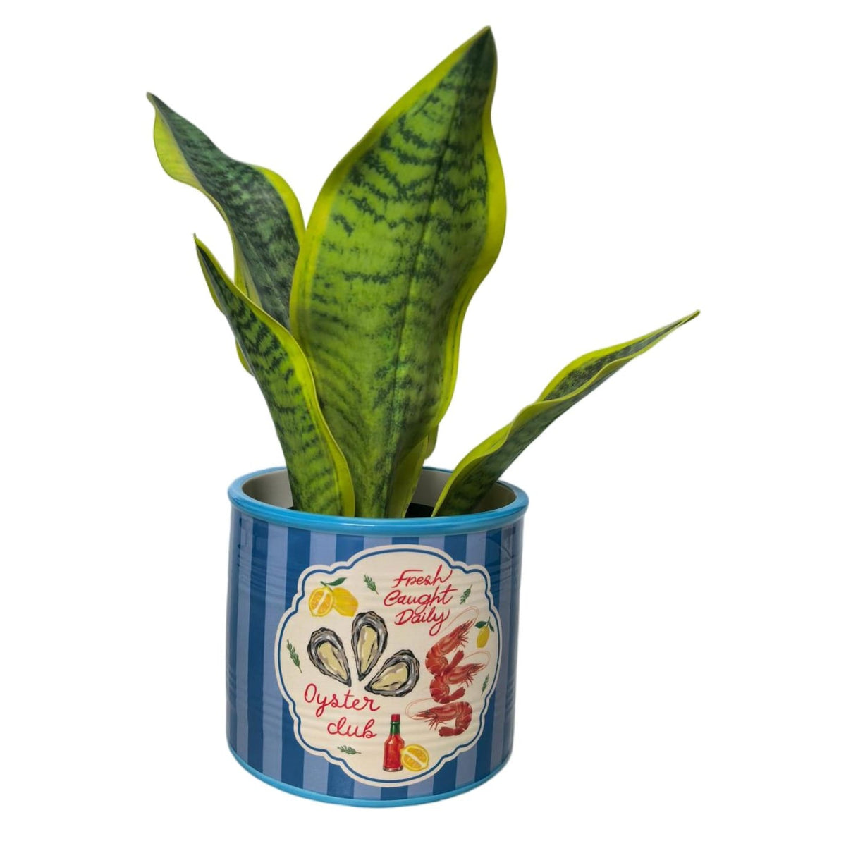 Urban Products Sea Vita Planter- Blue Urban Products