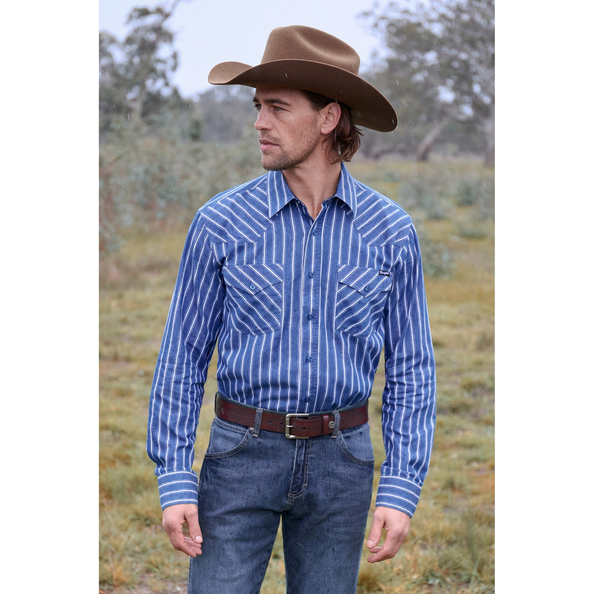 Wrangler Men's Roy Stripe L/S Western Shirt Wrangler